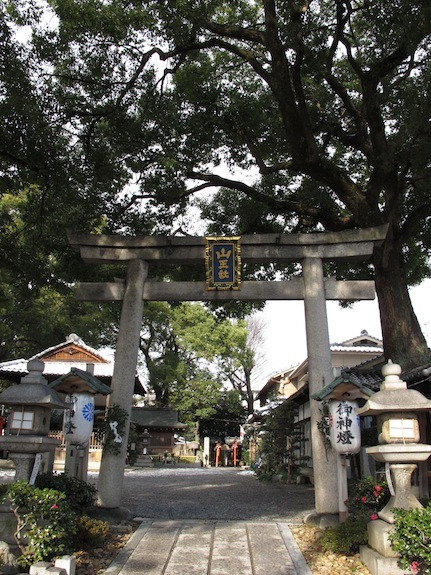 結婚写真家 kohten江幡幸典のお気楽写真ブログ